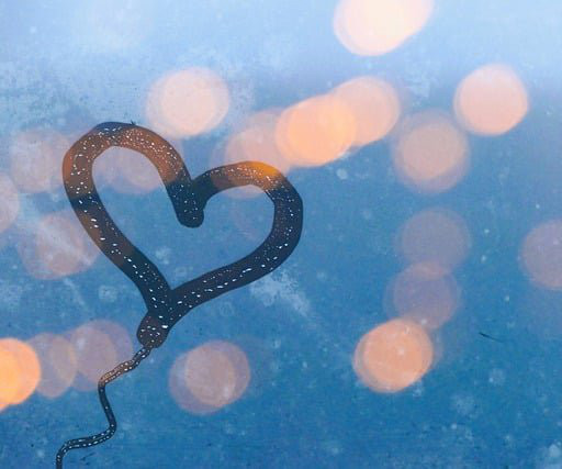 article thumbnail